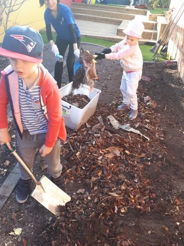 Gardening