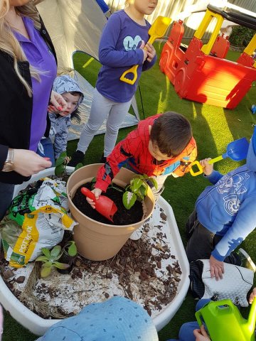Gardening
