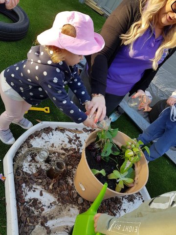 Gardening