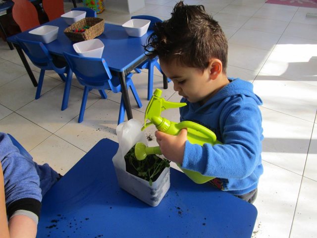 Gardening