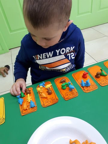 Literacy and numeracy