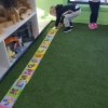 Literacy and numeracy