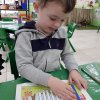 Literacy and numeracy