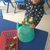 Pretend play