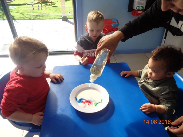 Science Week