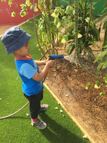 Gardening